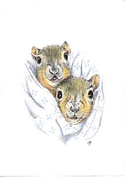 hamsters in een dekentje