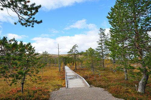 Fulufjället Nationaal Park