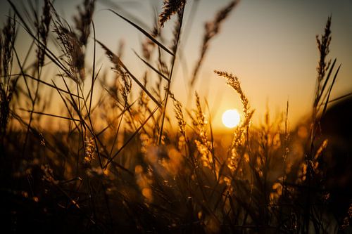 Backlight series of warm colors part 6