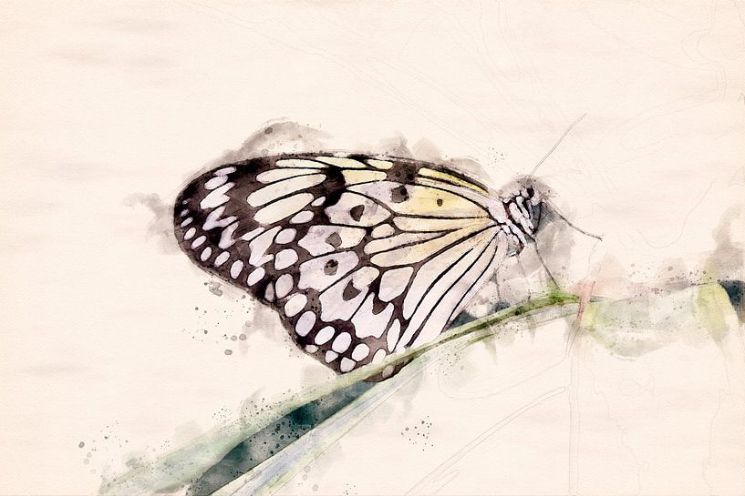 Papillon (édition aquarelle) par Gig-Pic by Sander van den Berg