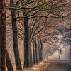 Bomenlaan in de mist van Marcel Kieffer