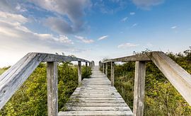 Passerelle des dunes vers la mer sur Werner Reins