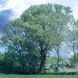 On the road in northern Groningen by R Smallenbroek