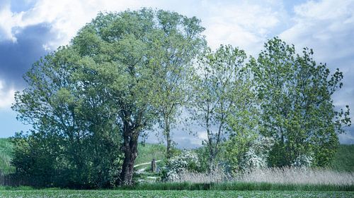 Onderweg in Noord Groningen van R Smallenbroek
