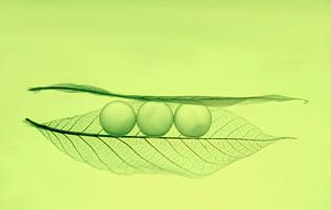 Green bean? (abstracte foto van drie bollen, lijkt op een erwt) van Birgitte Bergman