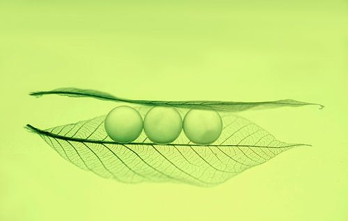 Green bean? (abstracte foto van drie bollen, lijkt op een erwt)
