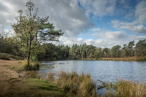 Palingven Oisterwijk