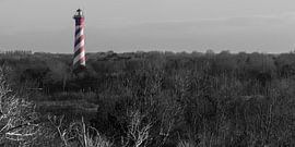 Rood by Geert-Jan Timmermans
