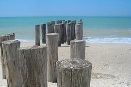 Houten golfbrekers aan de zanderige kust van Theodor Decker