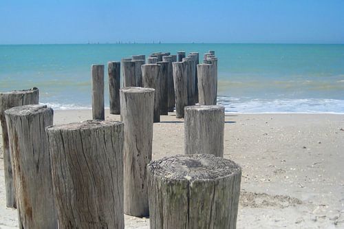 Wooden groynes on the sandy seashore