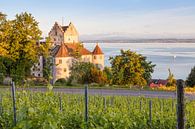 Burg Meersburg am Abend von Jan Schuler Miniaturansicht