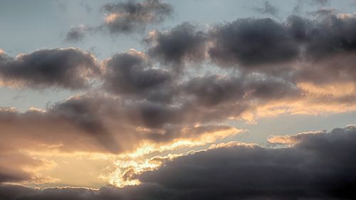 Jakobsleiter oder Sonnenharfe