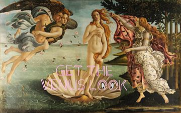 'Get the Venus Look' van Gisela - Art for you