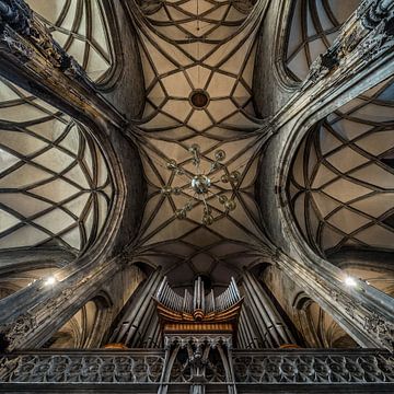Plafond en Orgel van de Stephansdom (Wenen) van Hans Kool