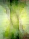 Celestial Summer - Modern Nature Expressionist by FRESH Fine Art thumbnail