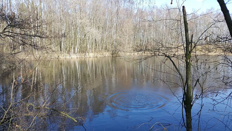 WINTER LAKE WITH DROPLET by Ivanovic Arndts