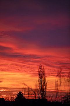 Gloeiend rode zonsopgang van t.ART