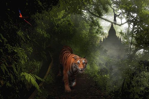 Tiger in the jungle with lianas, plants, trees a monkey and a parrot
