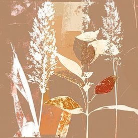 Modern Botanical illustration - Grasses -14 by Studio Pieternel