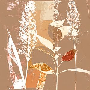 Moderne botanische Illustration - Gräser -14