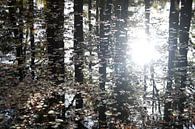 Reflexion von Bäumen mit Herbstlaub von Jessica van den Heuvel Miniaturansicht