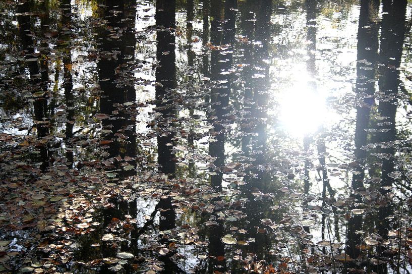 Reflexion von Bäumen mit Herbstlaub von Jessica van den Heuvel