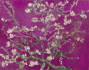 Mandelblüte Fuchsia - Vincent van Gogh
