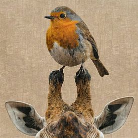 Robin and giraffe by Emiel de Lange