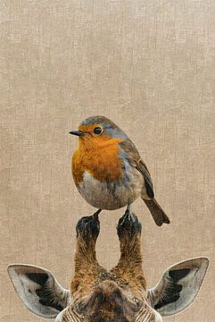 Rotkehlchen und Giraffe von Emiel de Lange