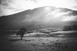 Morgennebel am Ben Nevis von Jasper van der Meij