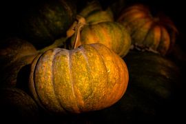 Kürbisse großer gelber Zentner von Dieter Walther