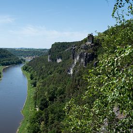 Das grüne Tal der Elbe im Sommer von Adriana Müller
