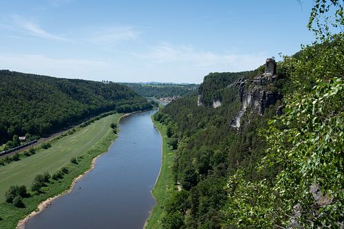 De groene vallei van de Elbe in de zomer