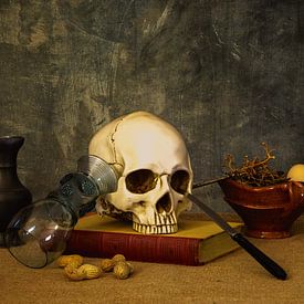 Vanitas, de bestemming van ons allemaal van René Ouderling