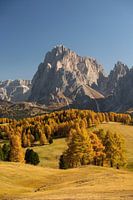 Elk jaar opnieuw inspireert de Gouden Herfst aan de Alpe di Siusi in Zuid-Tirol.