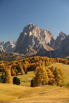 Chaque année, l'automne d'or sur l'Alpe di Siusi dans le Tyrol du Sud inspire à nouveau.