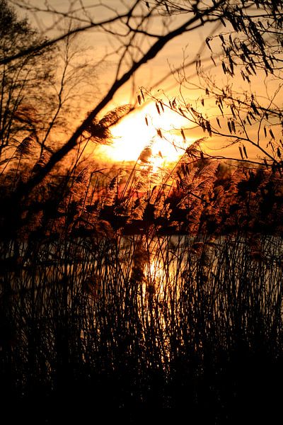 Evening atmosphere by Thomas Jäger