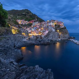 Manarola, Cinque Terre von Gunter Nuyts