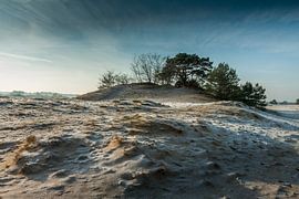 Omhoog bij kootwijkerzand