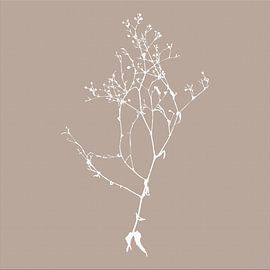 Botanica Delicata. Abstract Retro Botanical in  warm brown by Dina Dankers