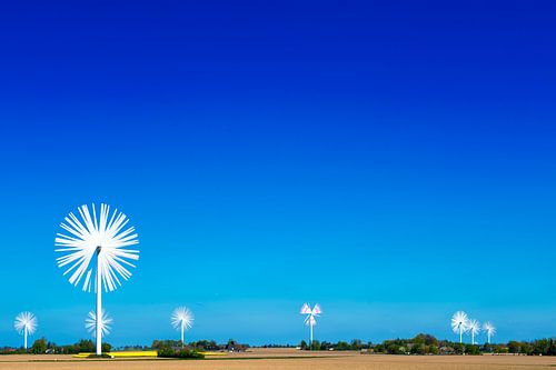 Field with windmills as flowers