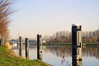 Alkmaar à son meilleur