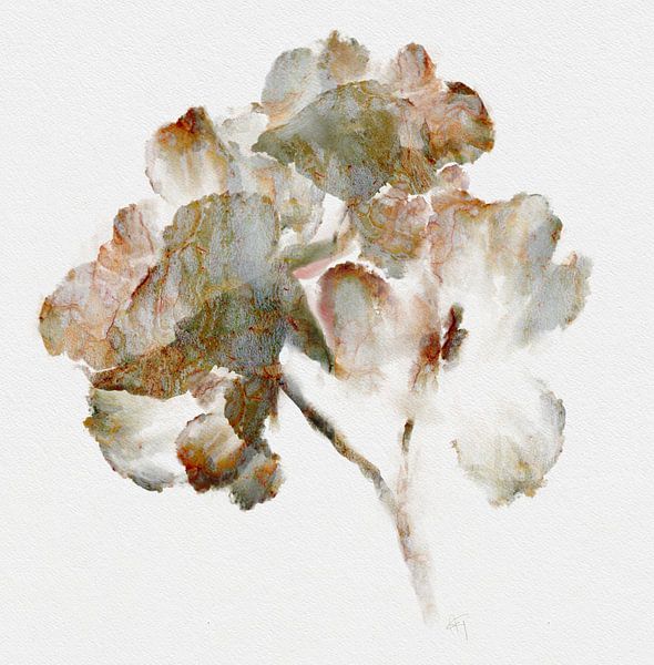 Rosen im Herbst. von annemiek art