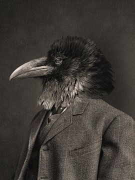 the Raven by Marja van den Hurk