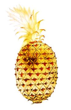 Goldene Ananas, John White von Studio POPPY