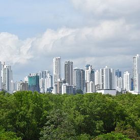 View of the city from the park by Claude Laprise