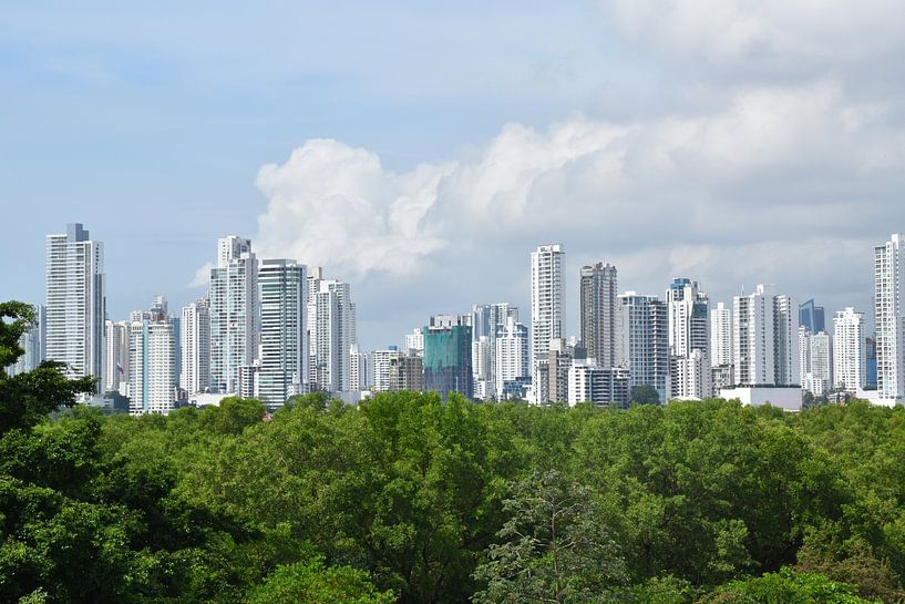 View of the city from the park by Claude Laprise