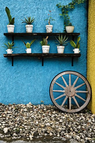 Colourful wall scene with flower pots and wooden wheel