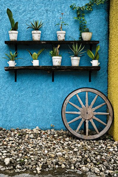 Colourful wall scene with flower pots and wooden wheel by Frank Photos