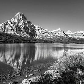 Panoramic views of the Canadian Rockies by Jacqueline Heijt